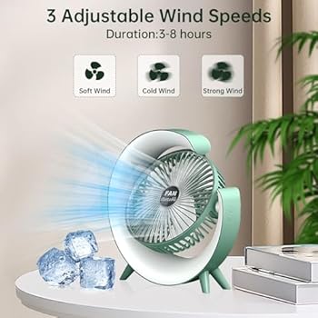 Colourful Desktop Fan